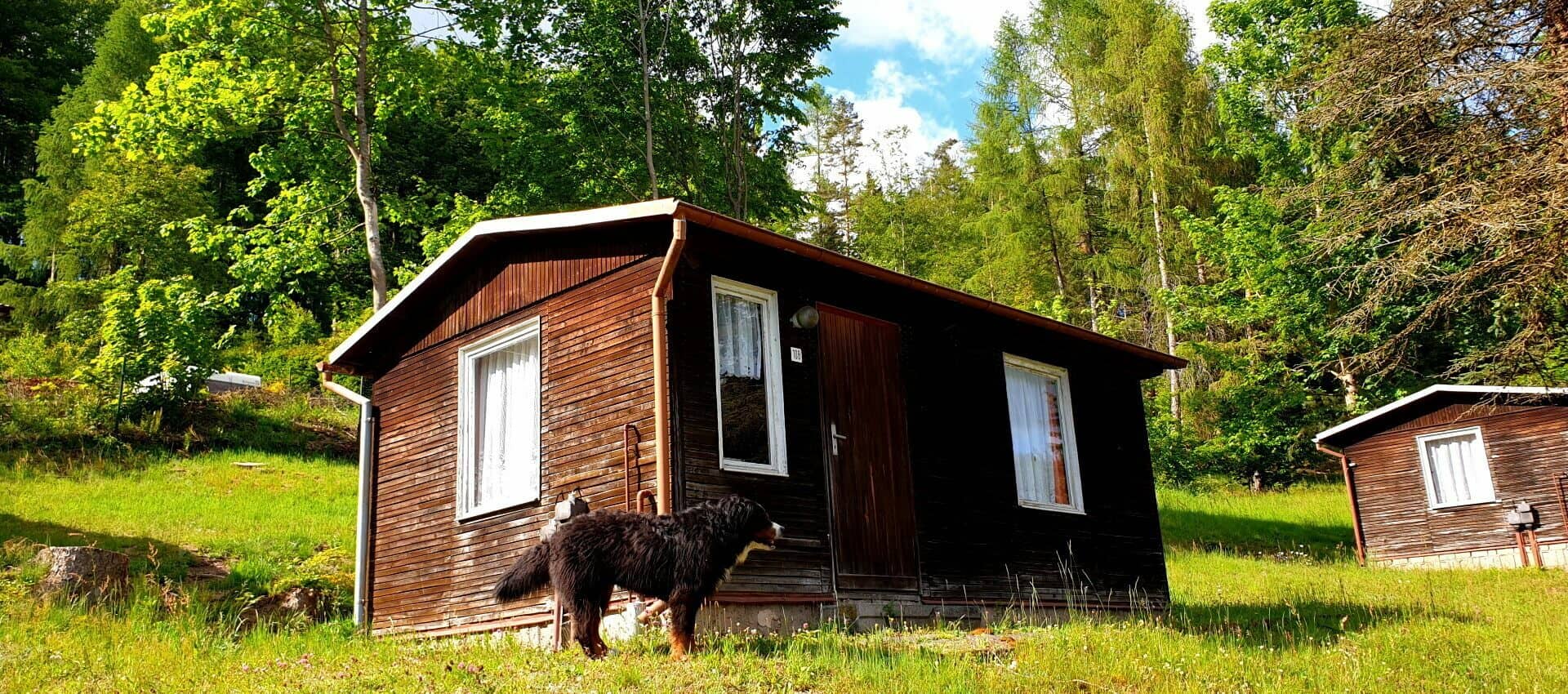 Thüringer Wald Panorama